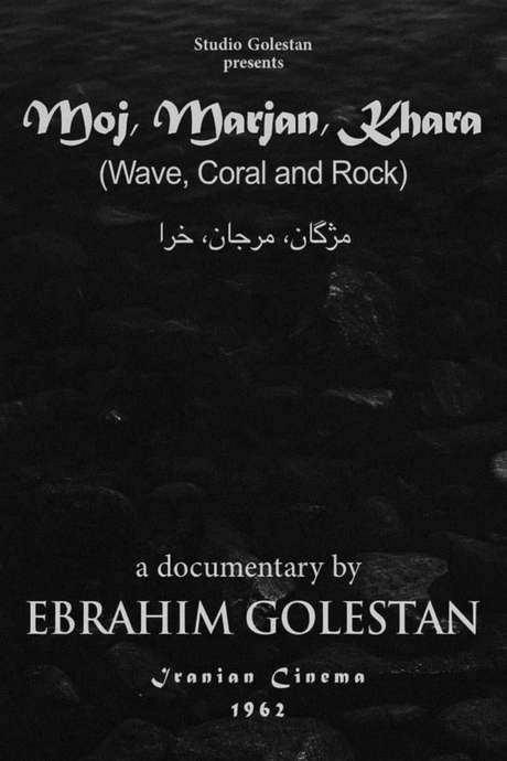 Wave, Coral and Rock